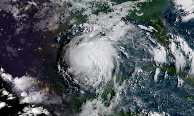 AISD RESPONDS: AISD campuses help hurricane victims