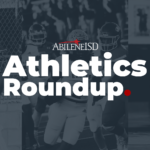 AHS Baseball, Softball Fall in In Hard-Fought Playoff Series to End AISD Athletics Season